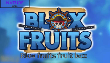 blox fruits fruit box