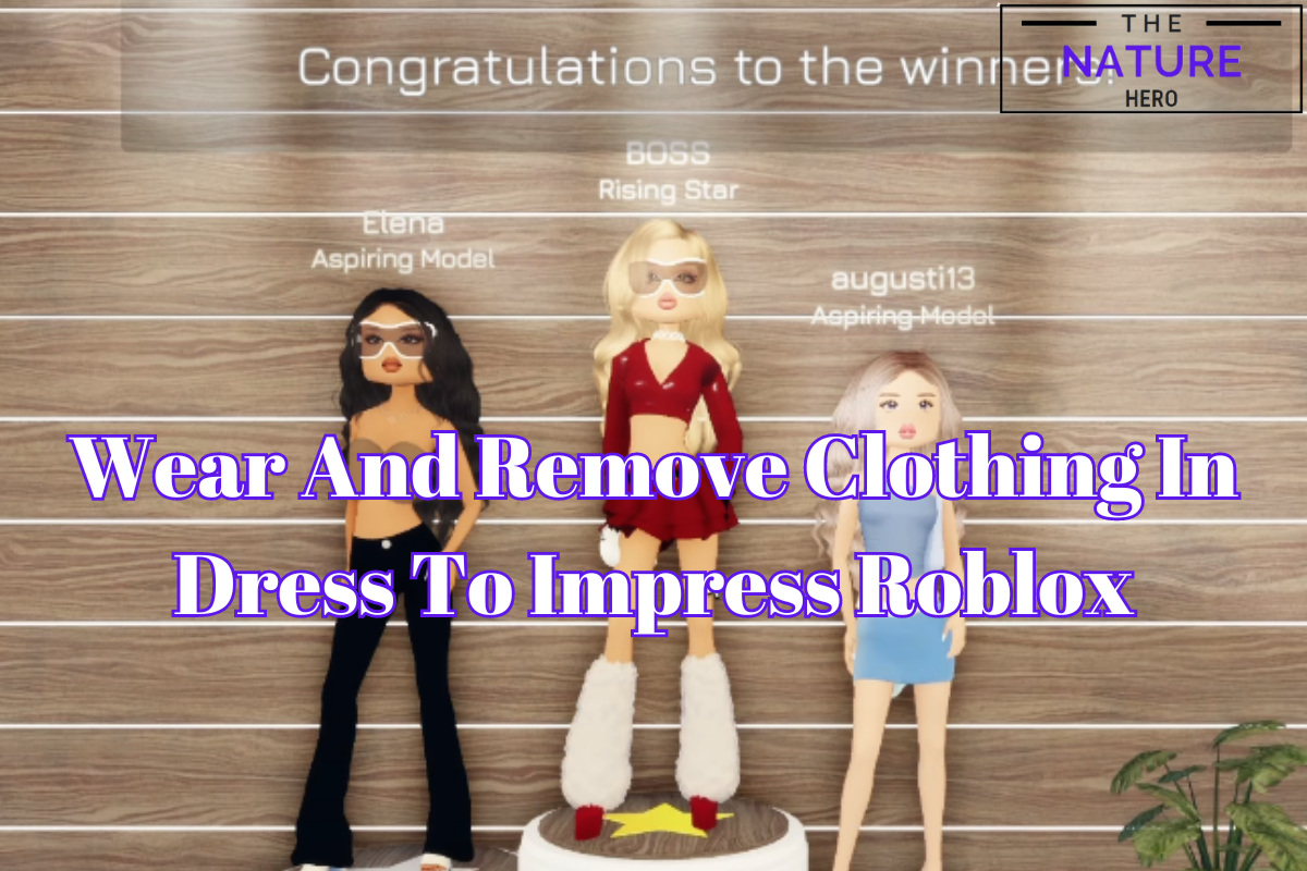 Dress To Impress Codes Roblox August 2024 Loree Ofelia