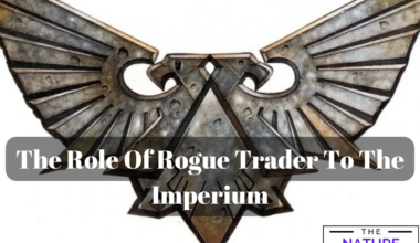 Imperium rogue trader