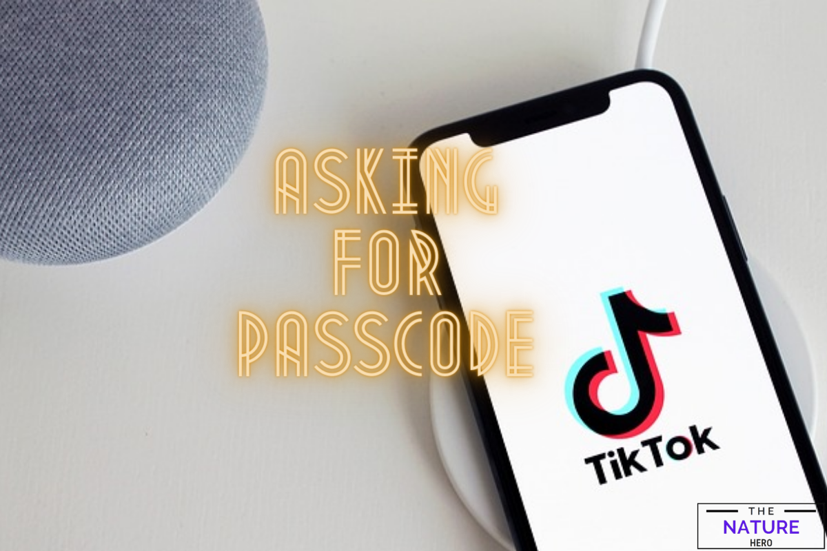 Why Is TikTok Asking For Passcode? With Solutions The Nature Hero