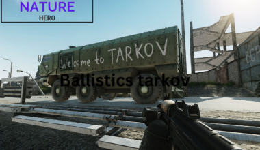 Ballistics tarkov