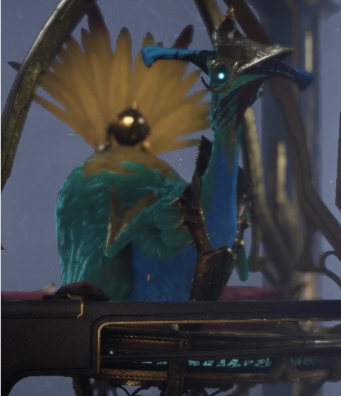 Bird 3 Warframe