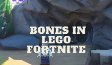 Bones In Lego Fortnite