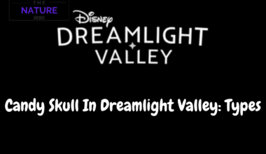 Candy Skull In Dreamlight Valley Types