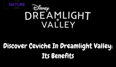 Discover Ceviche In Dreamlight Valley Its Benefits