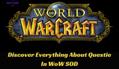 Discover Everything About Questie In WoW SOD