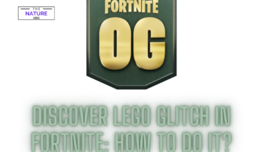 Discover Lego Glitch In Fortnite How To Do It