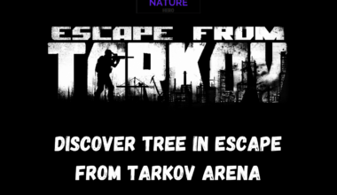 Discover Tree In Escape From Tarkov Arena