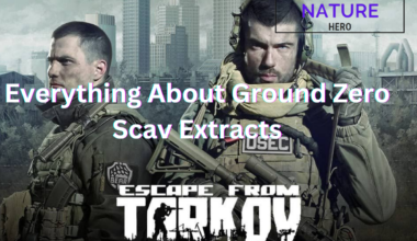 Everything About Ground Zero Scav Extracts