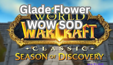 Glade Flower WOW SOD