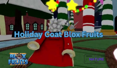 holiday coat blox fruits