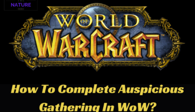 How To Complete Auspicious Gathering In WoW