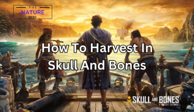 skull and bones how to harvest