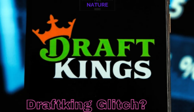 Overview On Different DraftKings Glitch