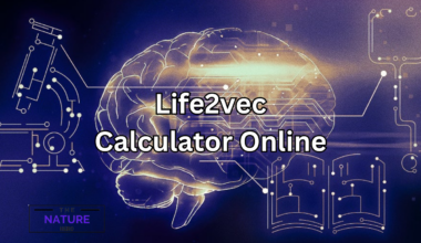 life2vec calculator online