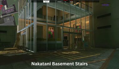 Nakatani Basement Stairs