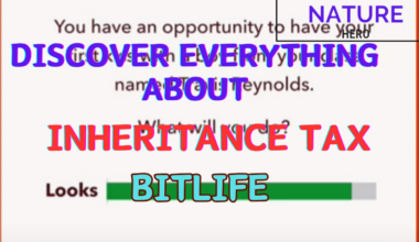 Bitlife Inheritance Tax.