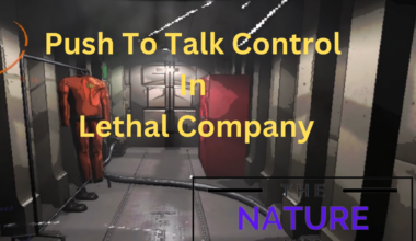 Push To Talk In Lethal Company