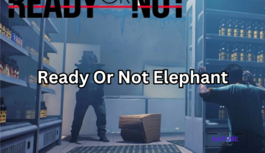 ready or not elephant