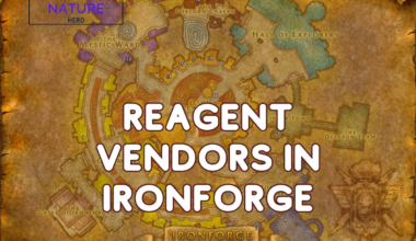 Reagent Vendors In Ironforge