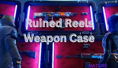 Ruined Reels Weapon Case