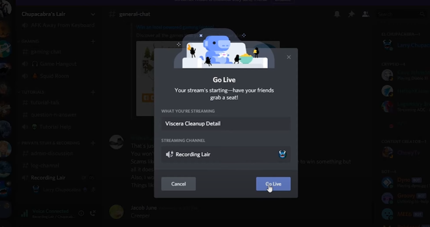 Go Live To Streams on Discord
