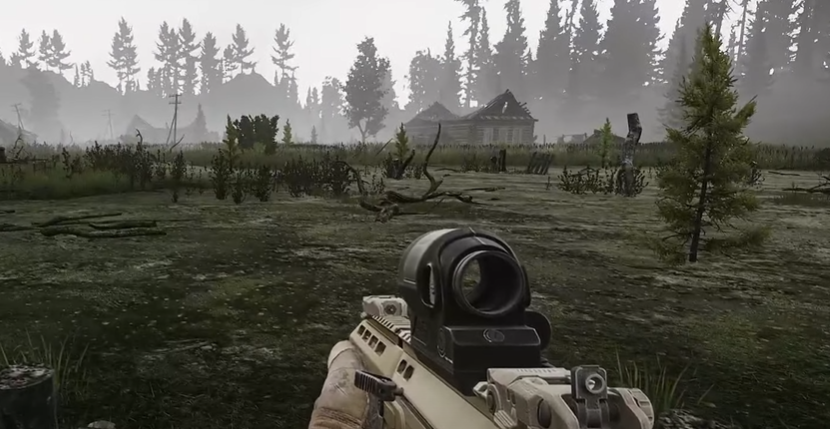 Swamp Area in Escape From Tarkov