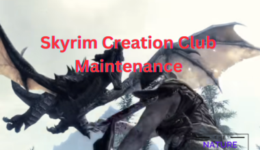 Skyrim Creation Club Maintenance