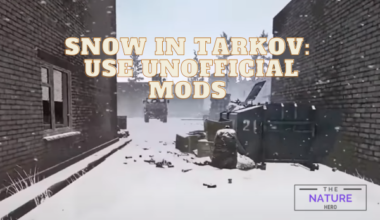 Snow In Tarkov Use Unofficial Mods