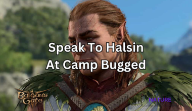 speak to halsin at camp bugged