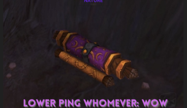 Mystery OF The Lower Ping Whomever In WOW