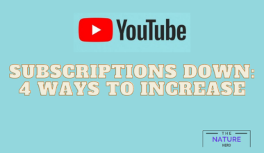 Subscriptions Down 4 Ways To Increase