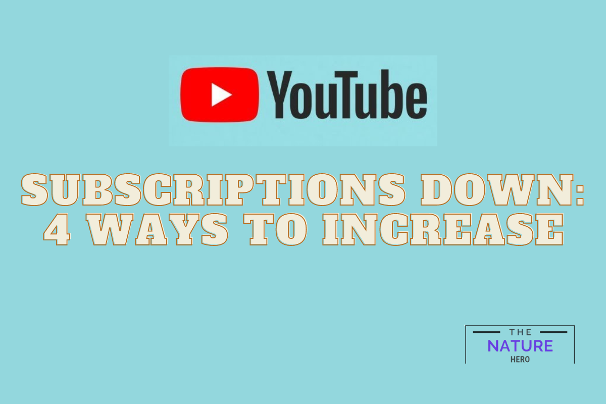 Youtube Subscriptions Down 4 Ways To Increase The Nature Hero