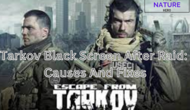 Tarkov Black Screen After Raid Causes And Fixes