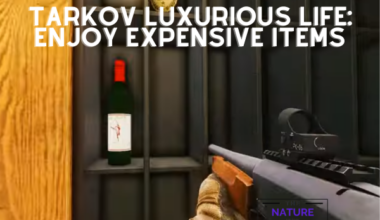 Tarkov Luxurious Life Enjoy Expensive Items