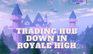 Trading Hub Down In Royale High