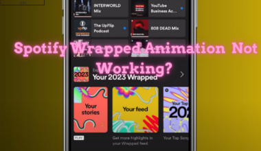 Spotify Wrapped Animation Not Working: Easy Fixes