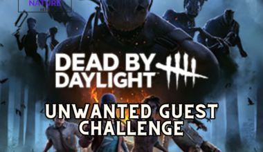 Unwanted Guest Challenge in DBD