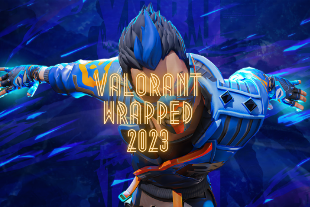 Valorant Wrapped Get Flashback Of 2023 The Nature Hero