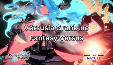 versusia granblue