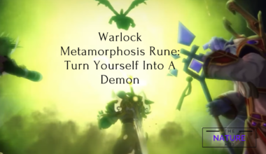 Warlock Metamorphosis Rune Turn Yourself Into A Demon