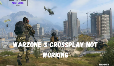 Warzone 3 Crossplay Not Working
