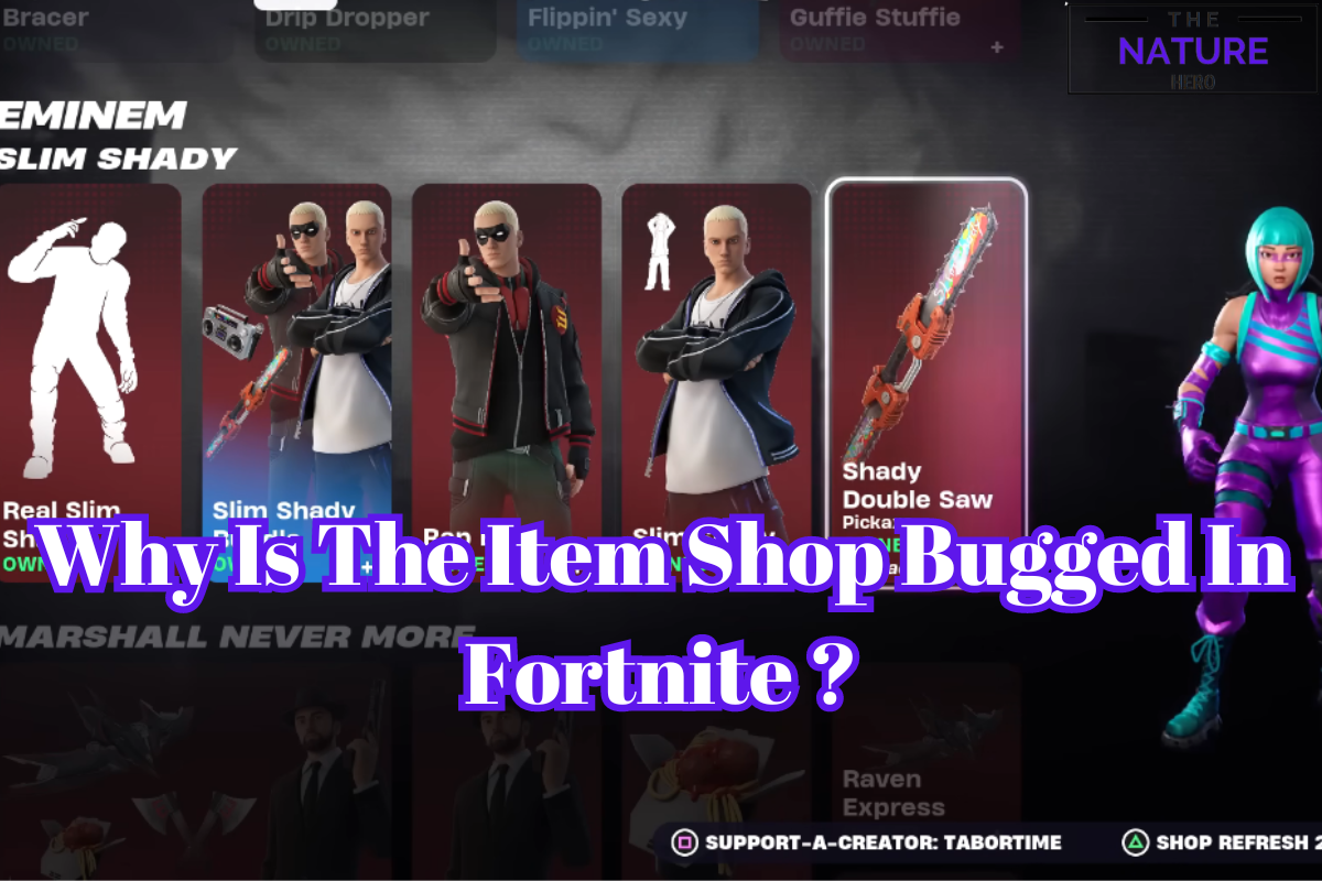 fortnite item shop not working