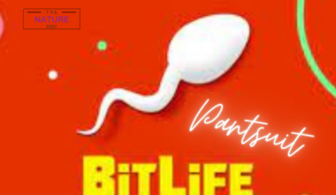 bitlife pantsuit