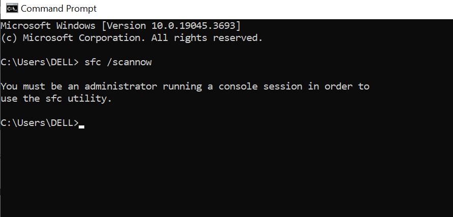 Run CMD prompt for ready or not has encountered a critical error