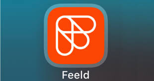 feeld logo