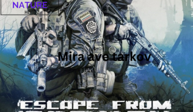 mira ave tarkov