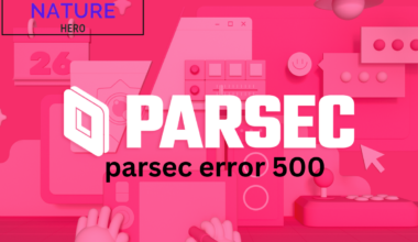 parsec error 500