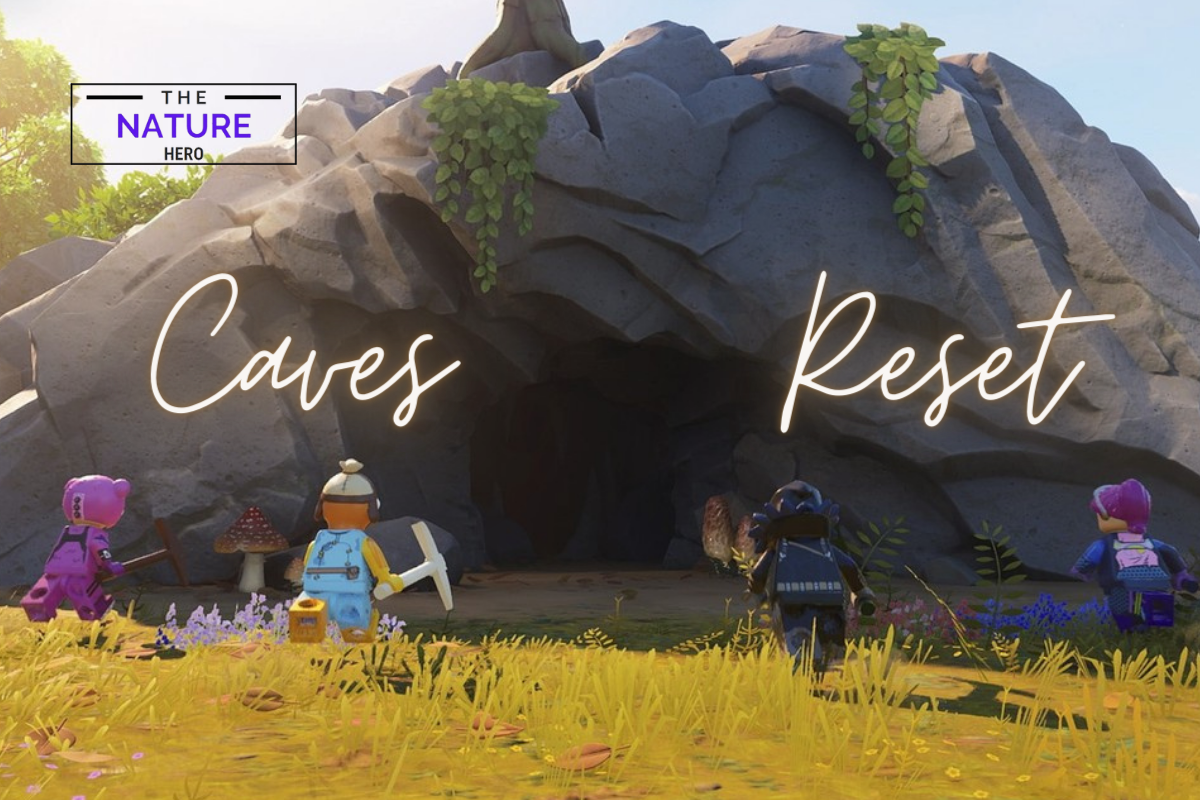 Lego Fortnite Caves And The Reset Phenomenon The Nature Hero   Picture 12 