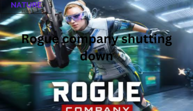 rogue company shutting down